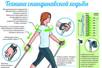 Секция скандинавской ходьбы | Центр спорта Гармония
