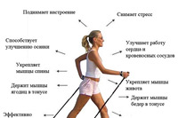 Секция скандинавской ходьбы | Центр спорта Гармония